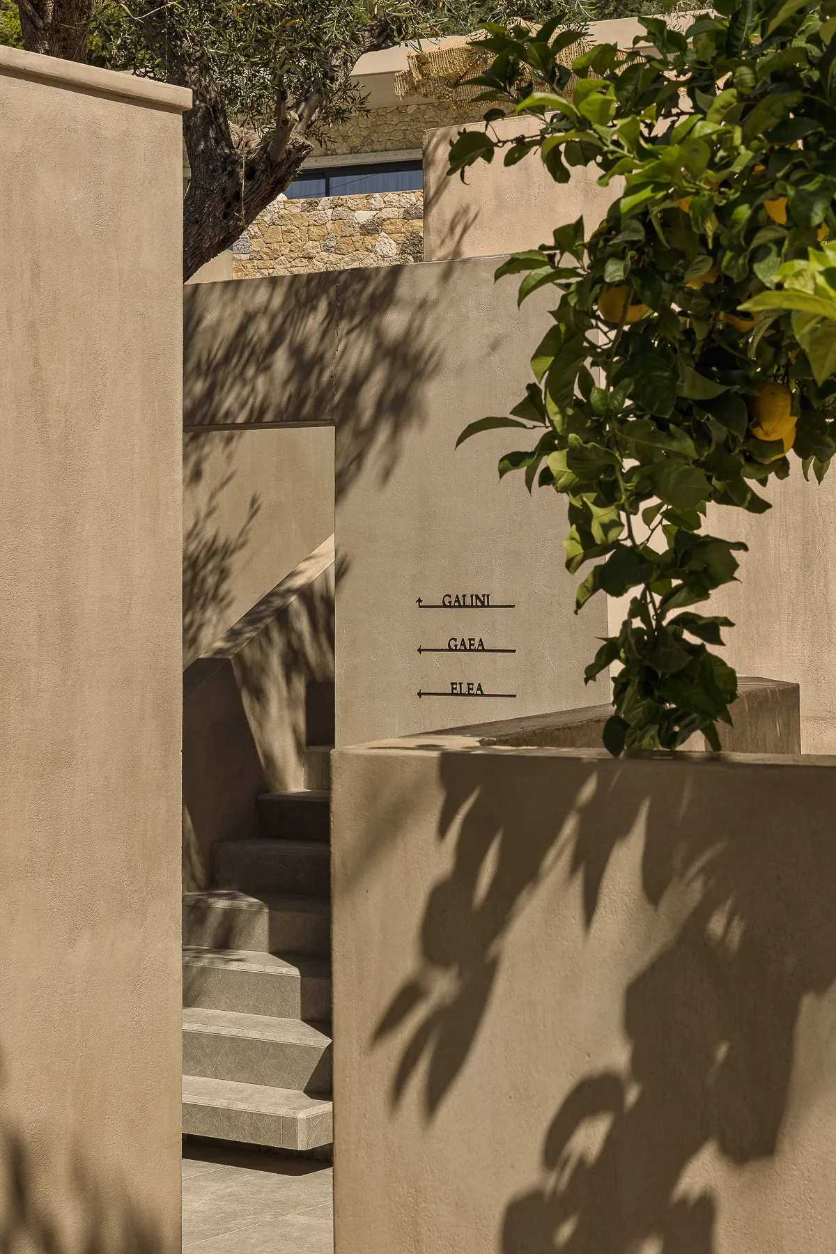 homepage-swiper-image